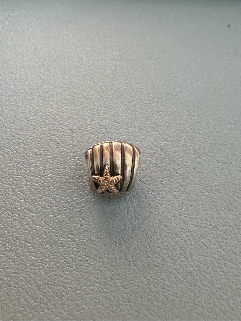 Pandora Shell and Starfish Beach Charm